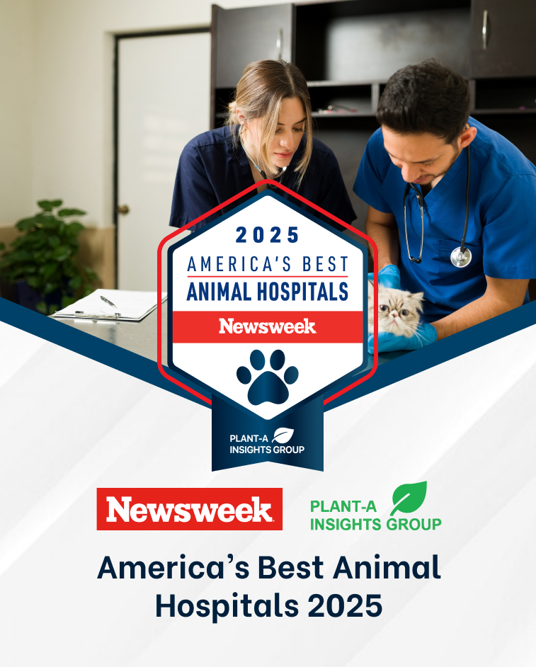 Newsweek’s Most Loved Pet Brands 2060